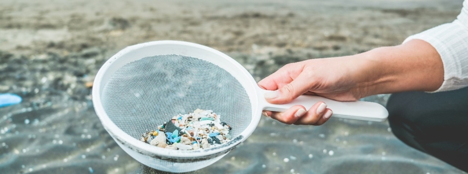 Recicla Orla e Polén participam de reunião sobre turismo sustentável com União Europeia