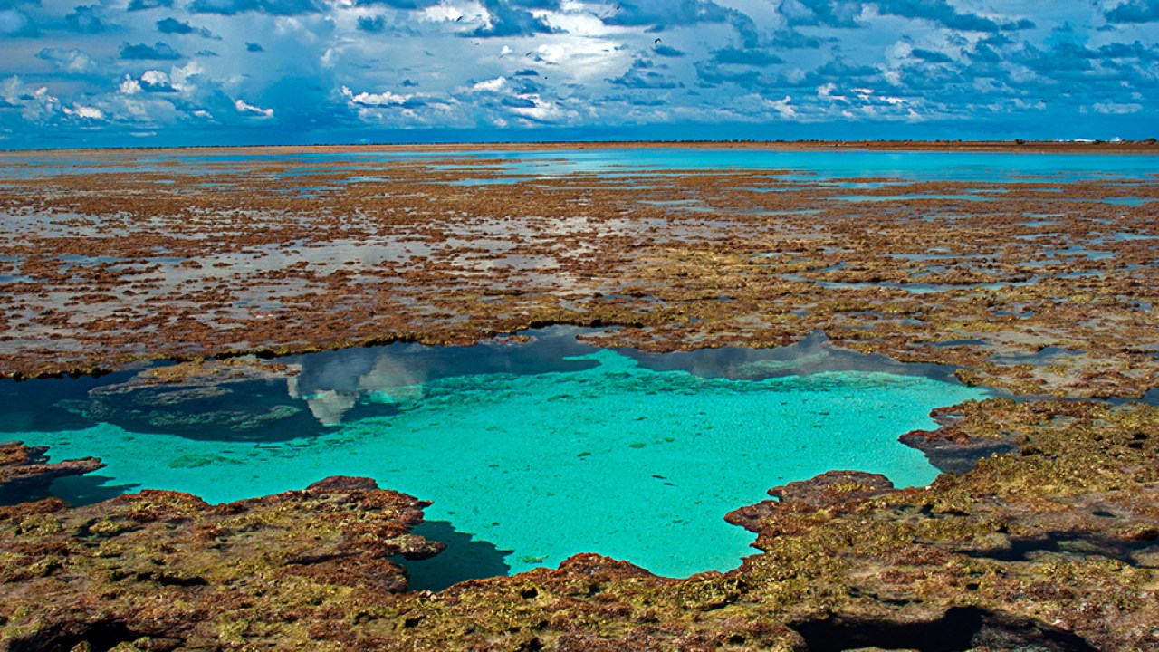 Segredos do Oceano: conheça o atol