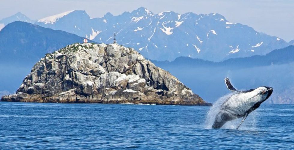 Segredos do Oceano: desvende o Oceano Pacífico