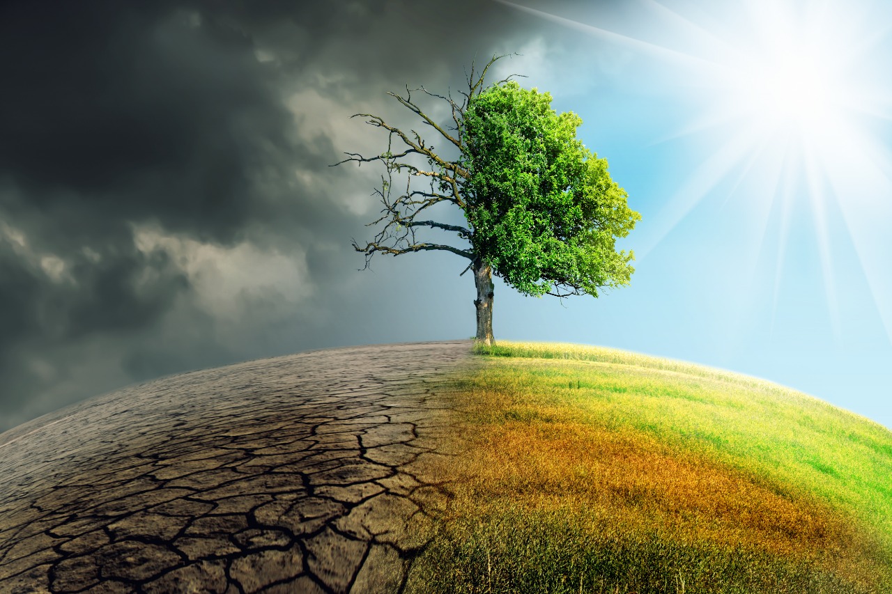 COP 28 aprova fundo climático de perdas e danos para países vulneráveis