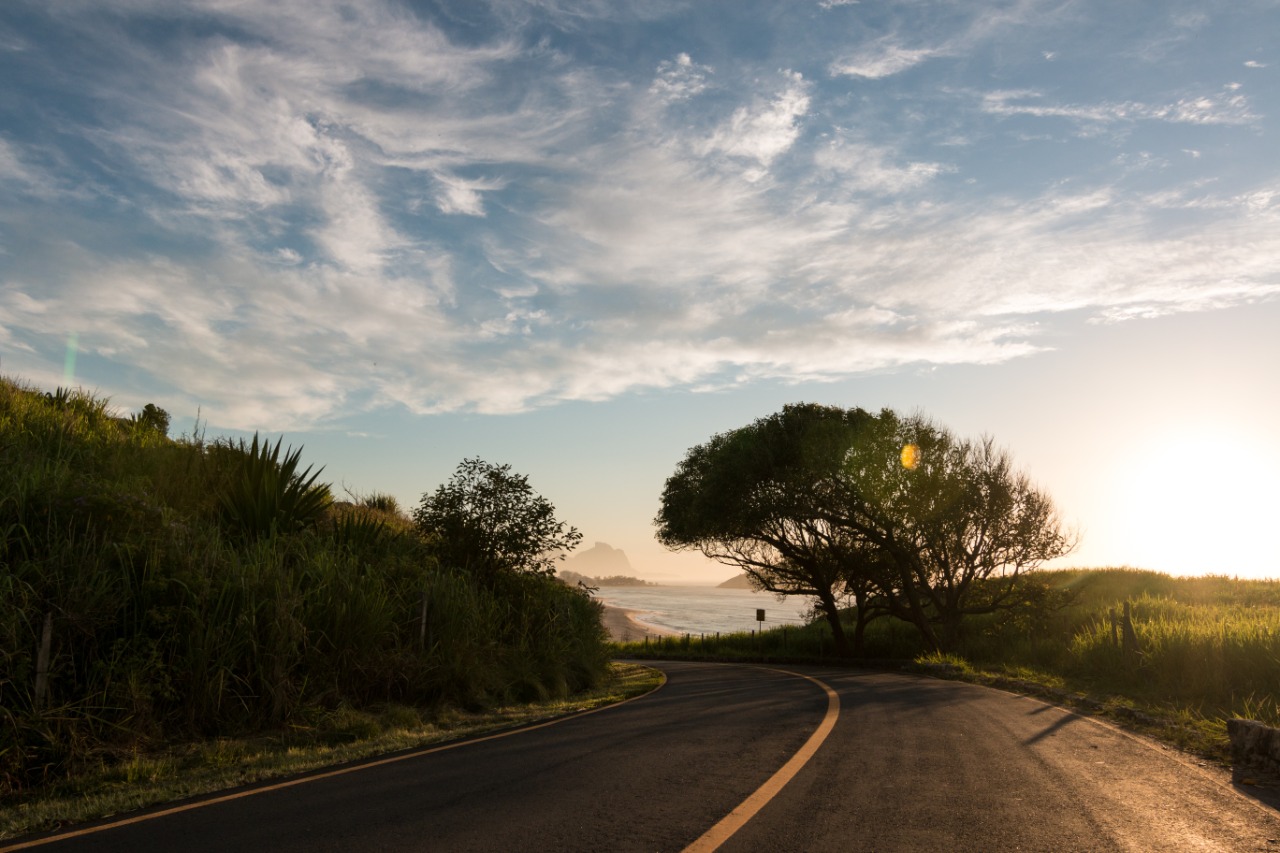 Conheça o significado do Dia Mundial do Meio Ambiente