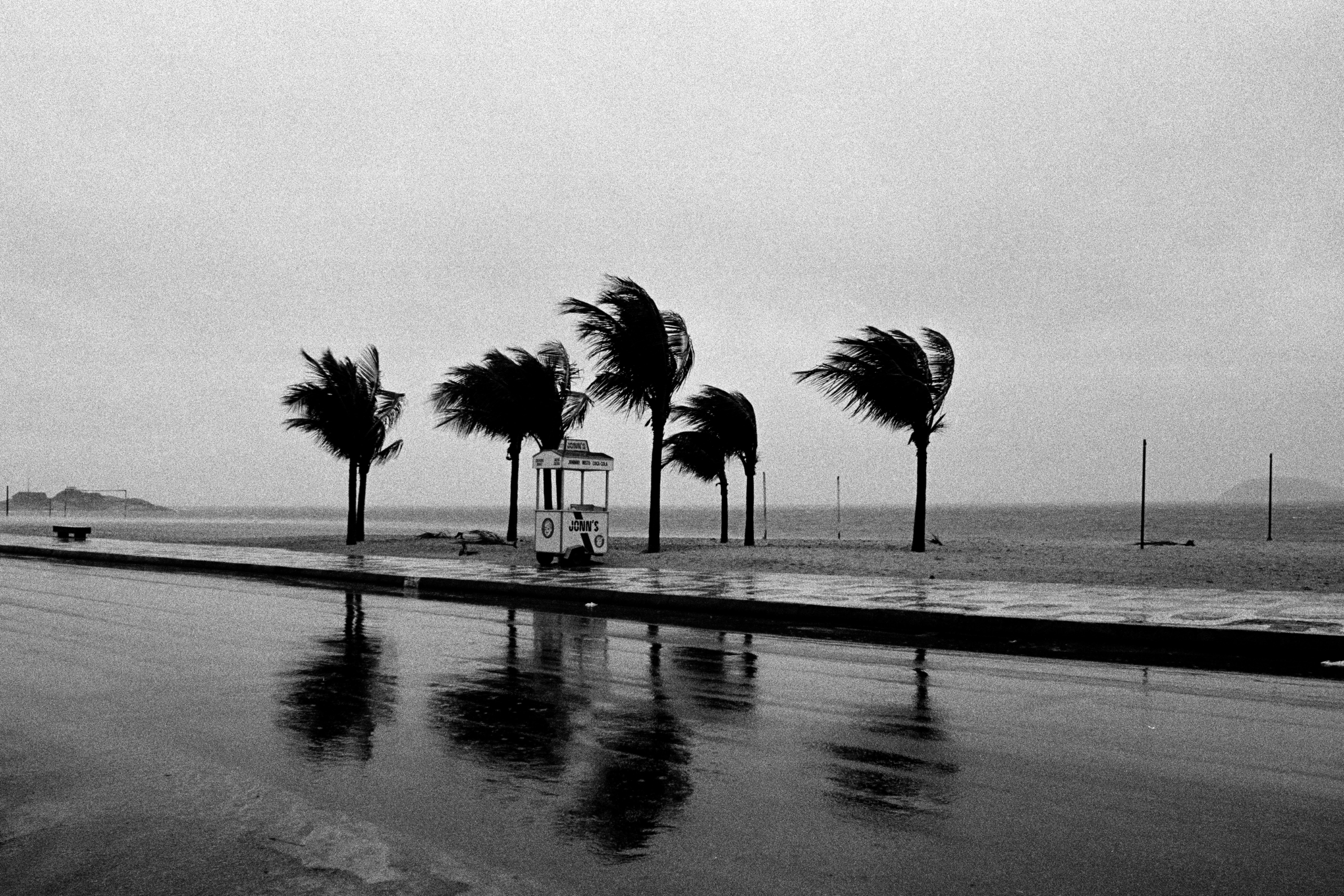 Dia do Cachorro-quente: uma história de praia 3