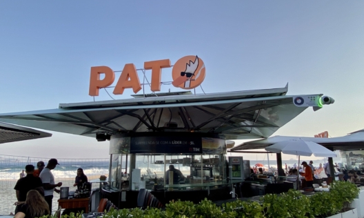 Pato com Laranja na Praia 1