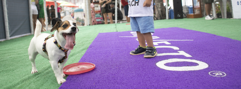 Pet Park da Célia é reinaugurado na Barra