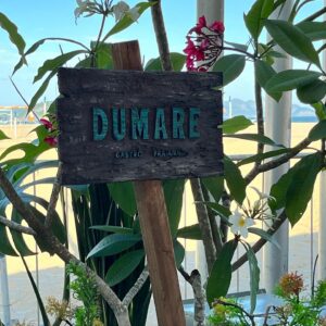 Quiosque Dumare é novidade em Copacabana 5
