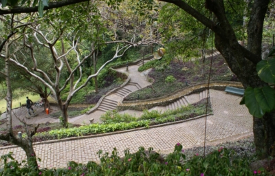 Festival Parques do Rio 4