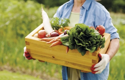 Gastronomia Sustentável: Saboreando o futuro responsável