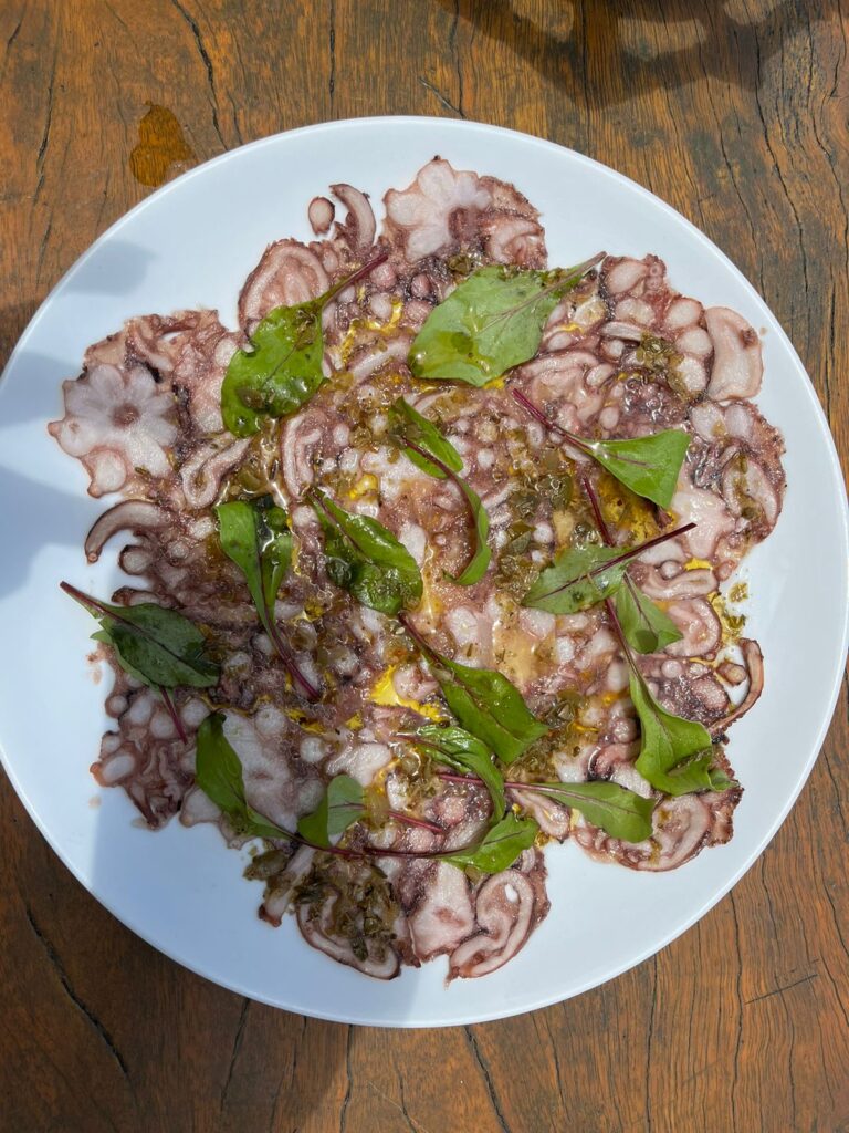 Caneco 70 Recebe o verão de braços abertos: Sabores, Diversão e Vibrações Tropicais à Beira-Mar 3