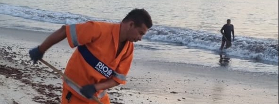 Comlurb deu início a uma operação de remoção das algas marinhas