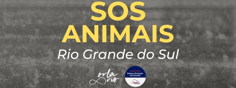 OAB-Barra, Orla Rio e ONGs se juntam para arrecadar doações aos animais afetados no Rio Grande do Sul 4