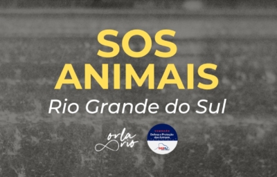 OAB-Barra, Orla Rio e ONGs se juntam para arrecadar doações aos animais afetados no Rio Grande do Sul 4