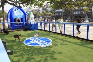 Dia Mundial do Cachorro: Conheça o novo Paraíso para Pets na Barra 1