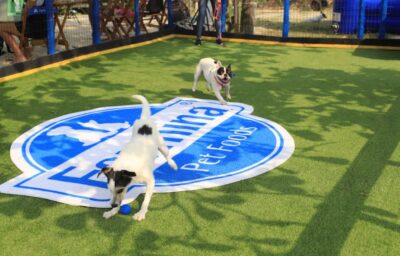 Dia Mundial do Cachorro: Conheça o novo Paraíso para Pets na Barra 5