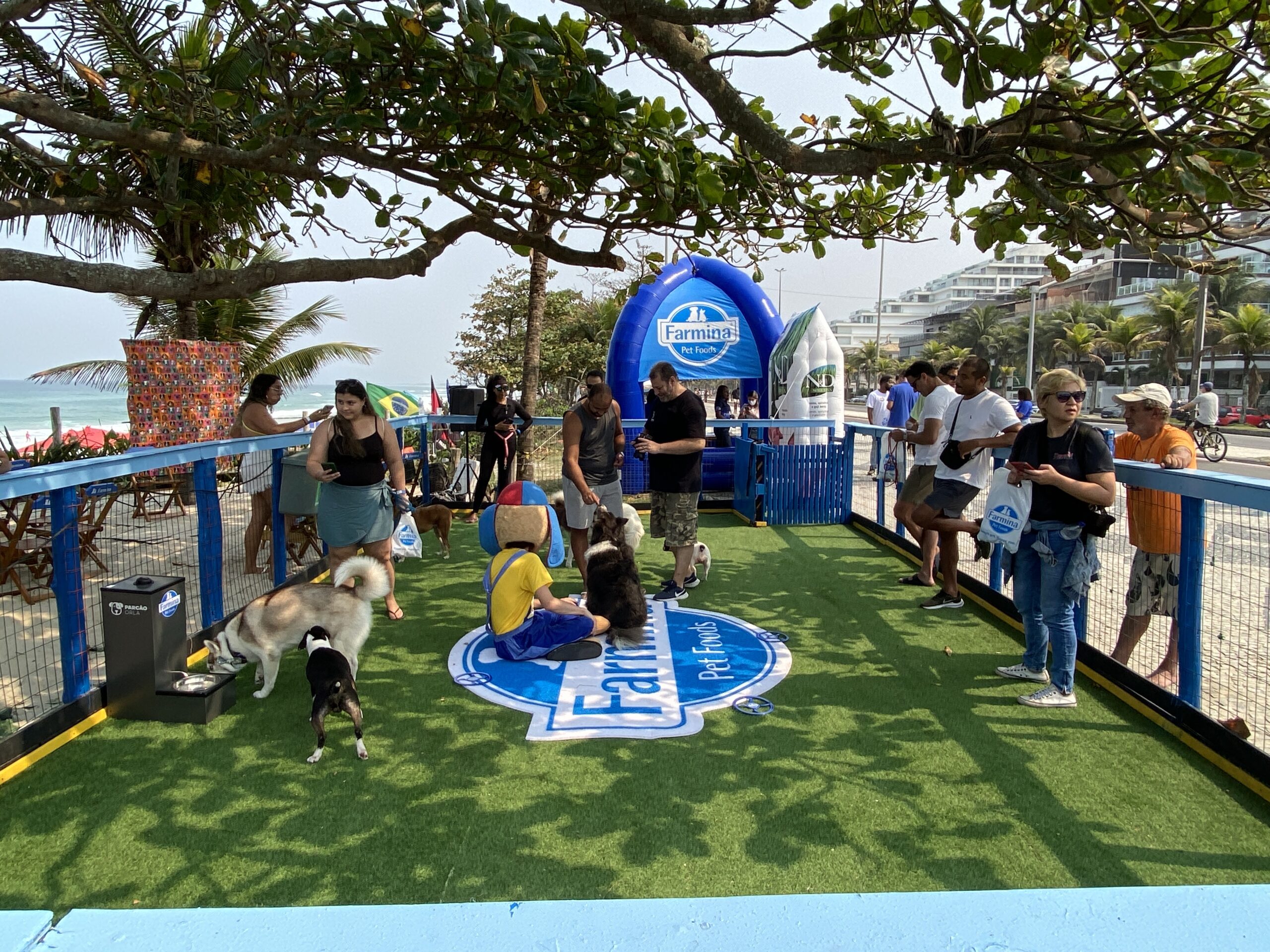 Amor de quatro patas no Parcão Orla: Farmina promove ação de adoção e cuidado na praia 1