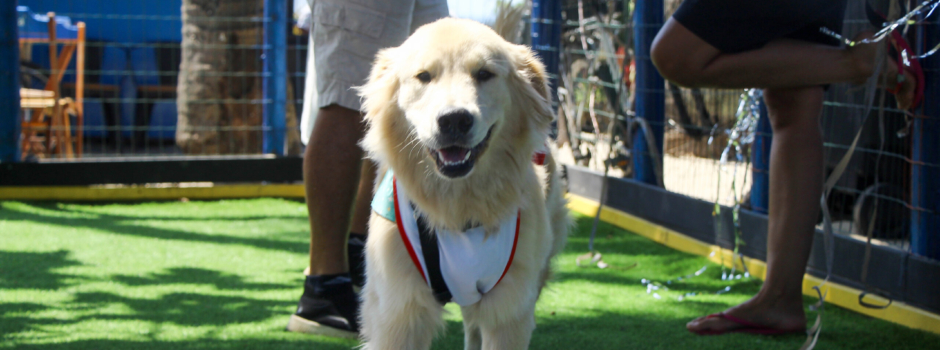 Parcão Orla recebe a Farmina em ação especial na Semana do Veterinário 1