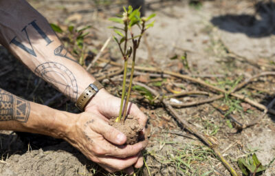 Orla Rio mobiliza cariocas para manhã de plantio na Barra: inscreva-se!